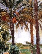 Joaquin Sorolla Palm oil painting on canvas